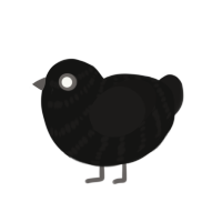 (unnamed), a black and sable chicken with a bar pattern