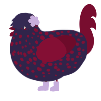 tea, a navy and maroon chicken with a speckle pattern