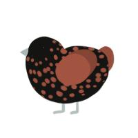 (unnamed), a black and russet chicken with a speckle pattern