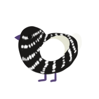 cooper, a black and white chicken with a head pattern