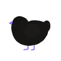 (unnamed), a black and sable chicken with a lace pattern