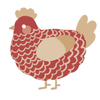 Pumpky Spice, a red and beige chicken with a lace pattern