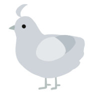 GRAYLIST, a mist chicken