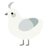A white and silver chicken