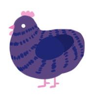 American, a overcast and navy chicken with a bar pattern