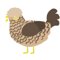 Nutmeg, a beige and bark chicken with a lace pattern