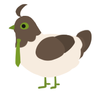 Hinata, a cream and bark chicken with a head pattern