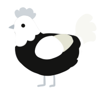 Tebeeyn, a black and white chicken with a head pattern