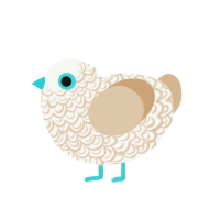 Sands of Time, a white and beige chicken with a double-lace pattern