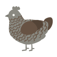 Steel, a ash and bark chicken with a lace pattern