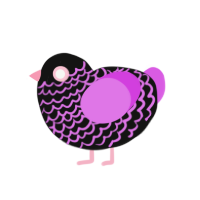 14420, a black and orchid chicken with a lace pattern