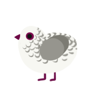 The Thorn, a white and ash chicken with a half-lace pattern