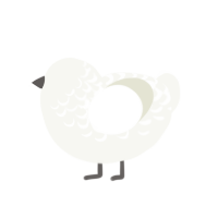 Angel, a white chicken with a half-lace pattern