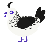 Neutron Star, a white and sable chicken with a half-lace pattern