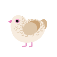 Crepe, a cream and beige chicken with a half-lace pattern