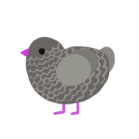 Frank, a grey and ash chicken with a lace pattern