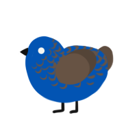 maca project, a ultramarine and bark chicken with a half-lace pattern