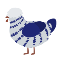 Sapphire, a mist and navy chicken with a bar pattern