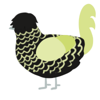 (unnamed), a sable and lemon chicken with a lace pattern