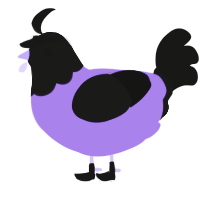 Corybantic Ennui, a blurple and black chicken with a head pattern