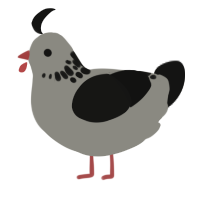 Charcoal, a ash and black chicken with a neck-speckle pattern