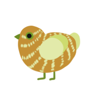 (unnamed), a gold and lemon chicken with a bar pattern