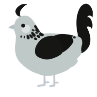 Ink, a silver and black chicken with a neck-speckle pattern