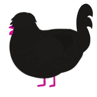 The Dark One, a sable chicken with a speckle pattern