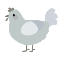 Glum, a silver and mist chicken