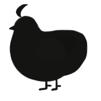 Chicken goes here, a black chicken