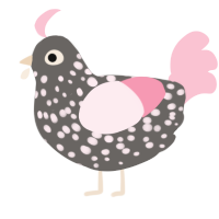 Speckle, a grey and rose chicken with a speckle pattern