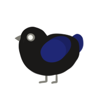 Ravencaw, a sable and navy chicken