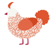 CandyCane, a white and vermilion chicken with a double-lace pattern