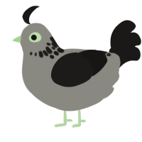 There is a Light, a ash and sable chicken with a neck-speckle pattern