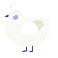 COLON THREE, a white chicken with a lace pattern