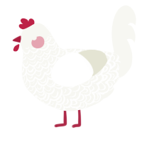 poppy in the snow, a white chicken with a double-lace pattern