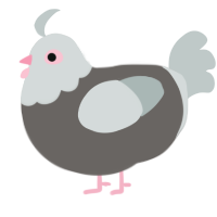 Pigeoooon, a grey and silver chicken