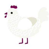 Snowberry, a white chicken with a lace pattern