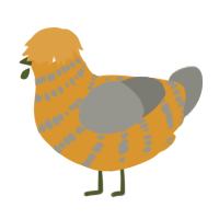 Bruised Orange, a orange and ash chicken with a bar pattern