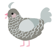 (unnamed), a ash and silver chicken with a lace pattern