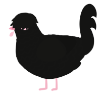 black parade, a black chicken with a lace pattern