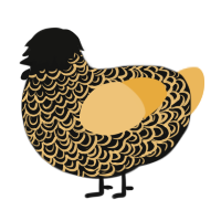 b, a black and honey chicken with a double-lace pattern