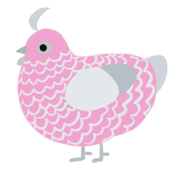 (unnamed), a pink and mist chicken with a lace pattern