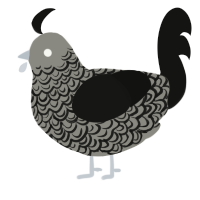 Honour, a ash and black chicken with a double-lace pattern