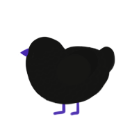 Pherkad, a black chicken with a lace pattern