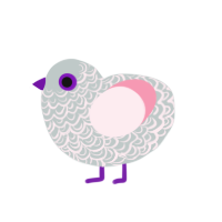 Stormy, a silver and rose chicken with a double-lace pattern