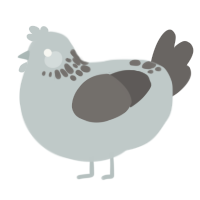 Diorite, a silver and grey chicken with a neck-speckle pattern