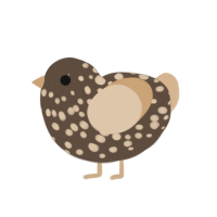 (unnamed), a bark and beige chicken with a speckle pattern