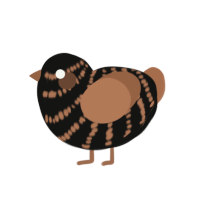 (unnamed), a black and brown chicken with a bar pattern