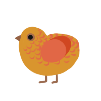 Solar Flare, a orange and vermilion chicken with a half-lace pattern